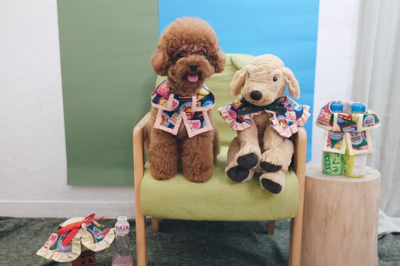 深藍色懷舊朱古力 x 啡橙間條 蝴蝶cut (方腳)