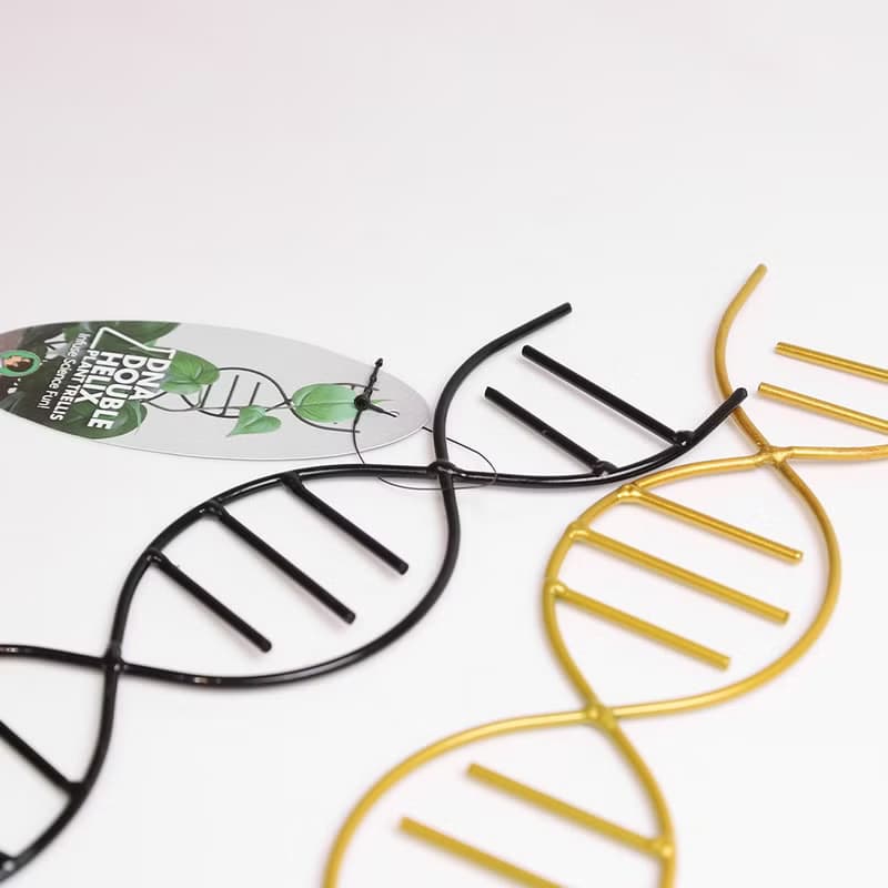 DNA雙股螺旋植物攀爬架
