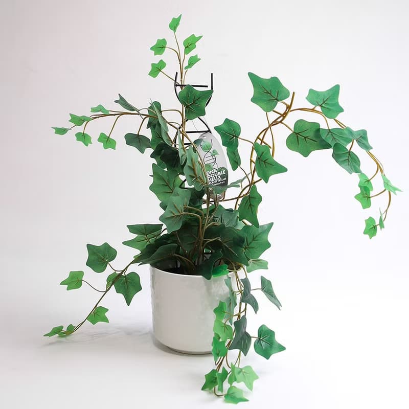 DNA雙股螺旋植物攀爬架