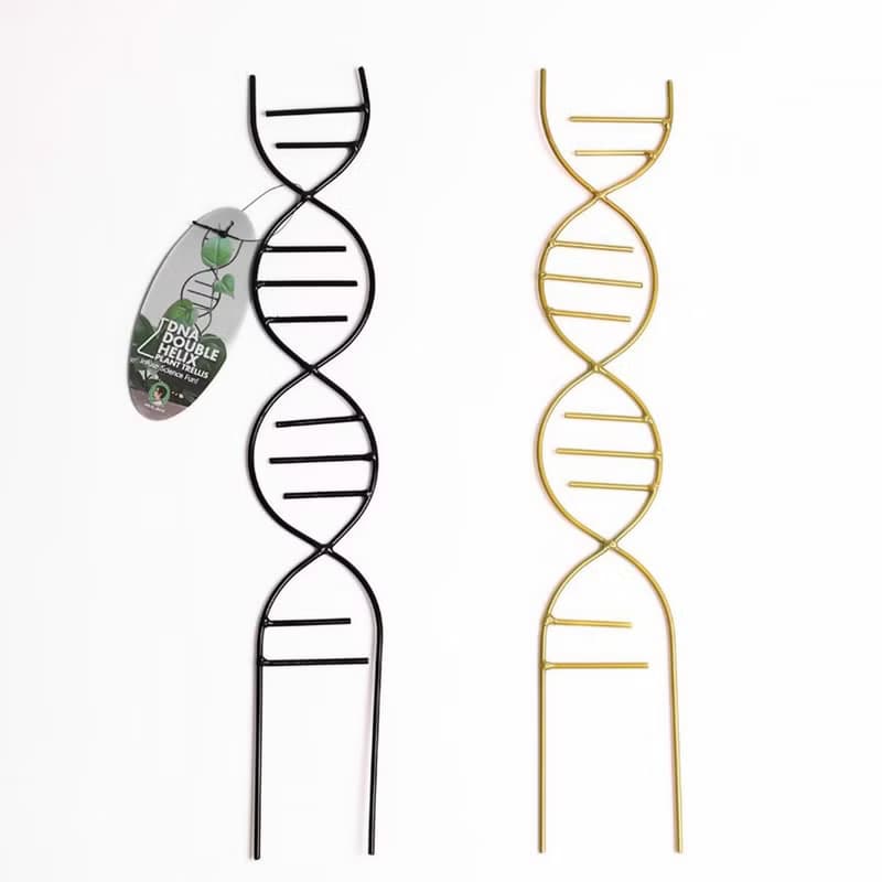 DNA雙股螺旋植物攀爬架
