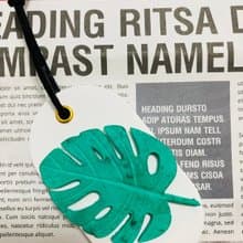 VitaDesign 龜背芋 仙人掌擴香石 開幕誌慶 喬遷之喜 婚禮 交換禮