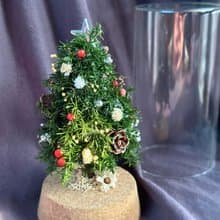 【永生雪松聖誕樹】永生雪松/聖誕節/玻璃花/交換禮物