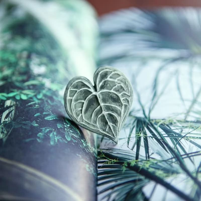 Leaf Shape AromaStone - 車用香氛石-圓葉花燭