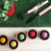 【送禮自用套組】 Flower Grows 彩色花朵種子球植栽套組