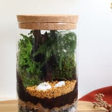 【微景觀】三腳貓功夫 - 苔蘚組盆/交換禮物/功夫貓貓