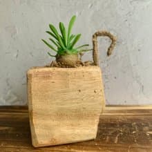 手工木作設計 盆栽擺飾 多肉植物 峨嵋山