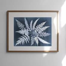 Elisabeth Dunker - 瑞典藝術家設計海報  FERN STAR POSTER