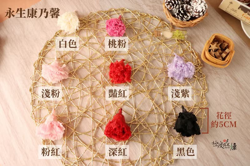 迷你乾燥花束 極度花燥 永生花 花禮