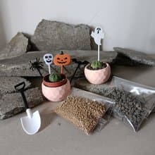 不給兜就搗蛋-泥盆種植體驗材料包