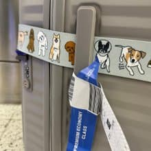 【快速出貨】Dogs狗狗行李箱束帶