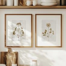 Gallery Wall Set of 2 Brown Fennel Green Parsley Dried Plant on Recycled Paper