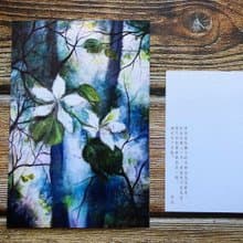 香港風景明信片-白洋紫荊