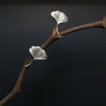 【母親節禮物】COLE COOL簡約銀杏925銀耳釘耳環