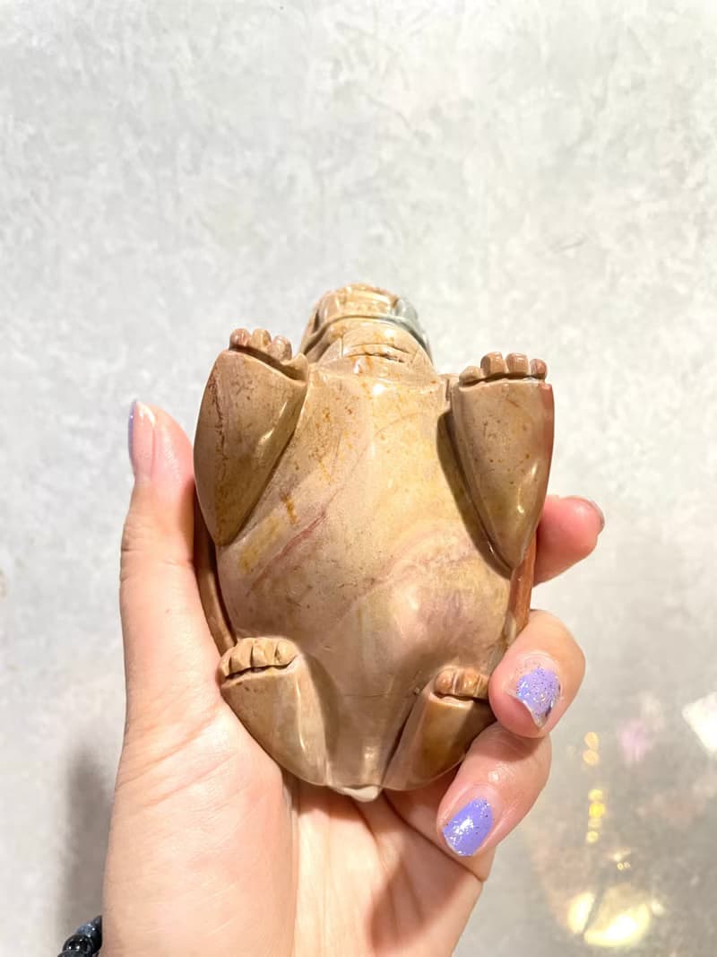 【阿拉善龍龜】天然瑪瑙 招財風水 辦公室小物