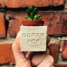 SUPER MOM~!!超人媽媽~!!母親節多肉磁鐵盆栽