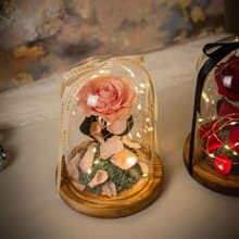 【唯一】美女與野獸 粉色永生花紅玫瑰 玻璃罩 夜燈 /情人節 生日