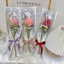 索拉花 康乃馨小花束 3色 附提袋卡片