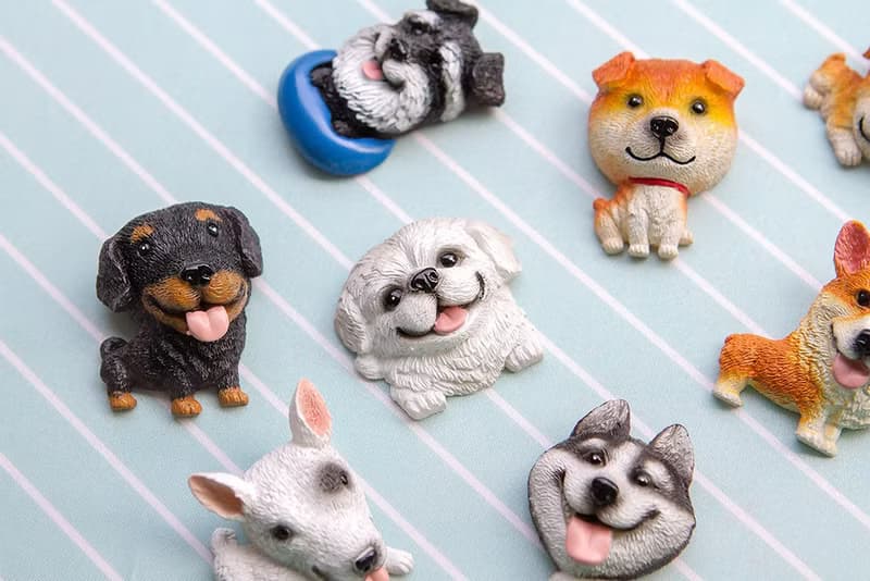 T盒裝 大頭款小狗磁鐵 小禮盒 創意文具 驚喜抽獎 婚禮小物 獎品
