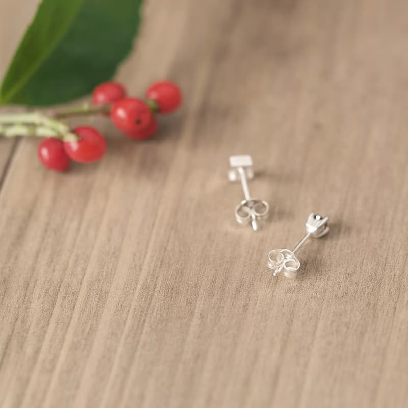 数字 & 1月 誕生石 ガーネット ピアス シルバー925