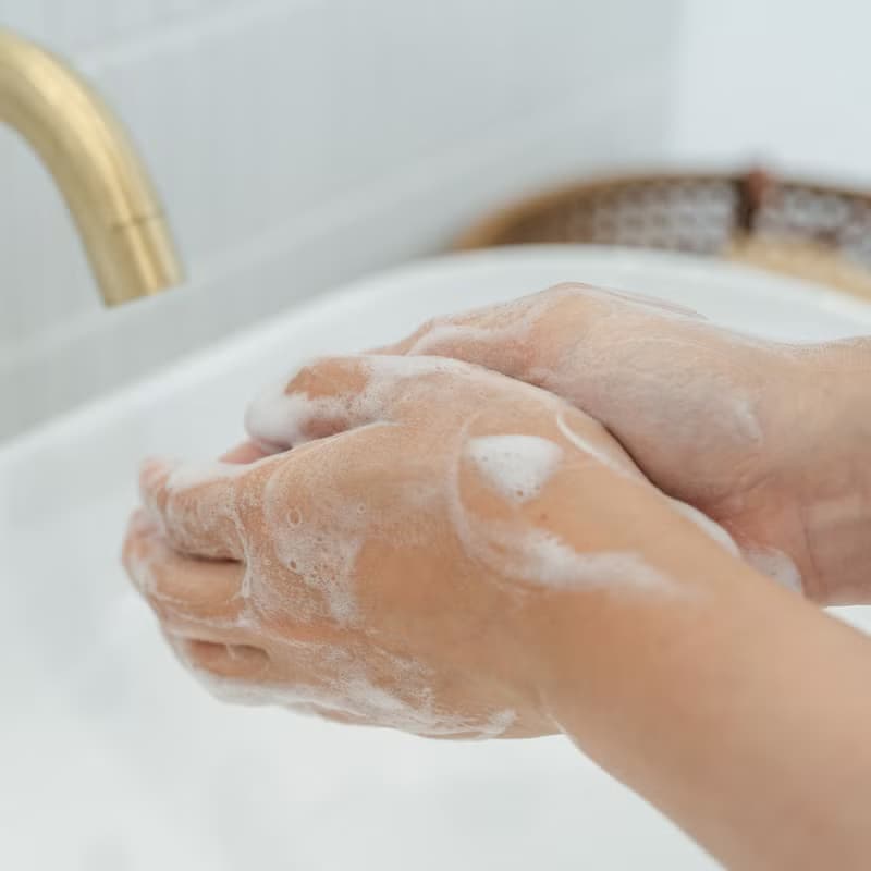 【新版】台灣檜木精油保溼洗手慕斯 250ml