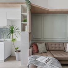 【室內盆栽】龍血樹盆栽 開幕盆栽 盆栽送禮 室內植物 升遷送禮