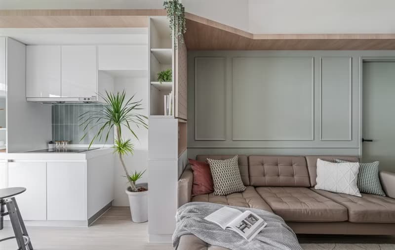 【室內盆栽】龍血樹盆栽 開幕盆栽 盆栽送禮 室內植物 升遷送禮