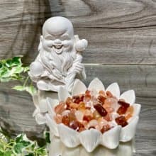 南極仙翁 紅水晶與蓮花座 珪藻擴香石家飾 Q版公仔 吸濕防潮