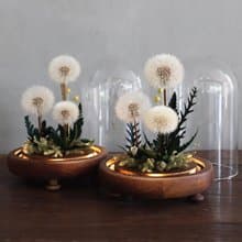 夢天涯 蒲公英永生花 玻璃花器(帶燈款)