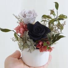 情人節禮物花束工業風黑玫瑰永生盆花 開幕結婚捧花永生乾燥花畢