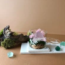 祕密花園  ∣ 植晶香氛系列