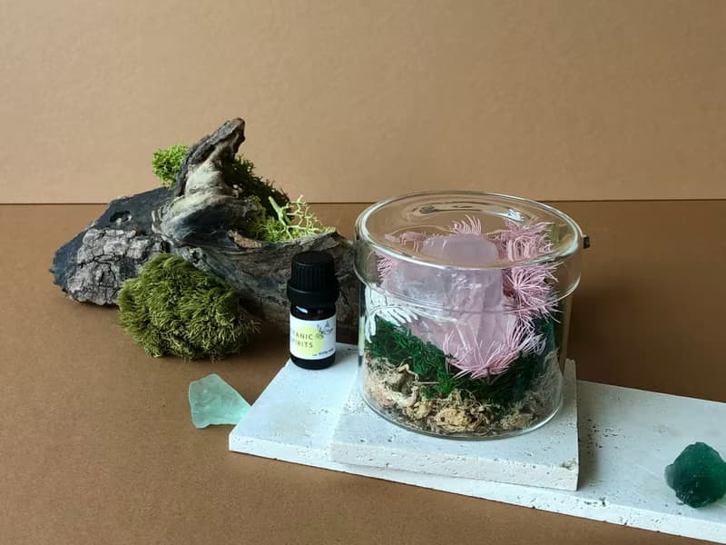 祕密花園  ∣ 植晶香氛系列