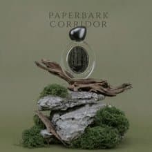 Paperbark Corridor 白千香水 | 綠意樺木 | 香港Grand Tour |EDP