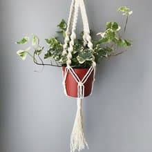 麻繩編織盆栽植物吊籃/綠葉植物/蕨類/空氣鳳梨