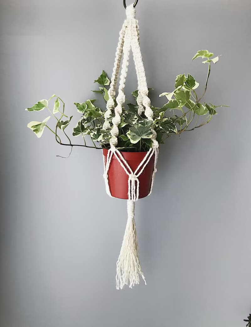 麻繩編織盆栽植物吊籃/綠葉植物/蕨類/空氣鳳梨