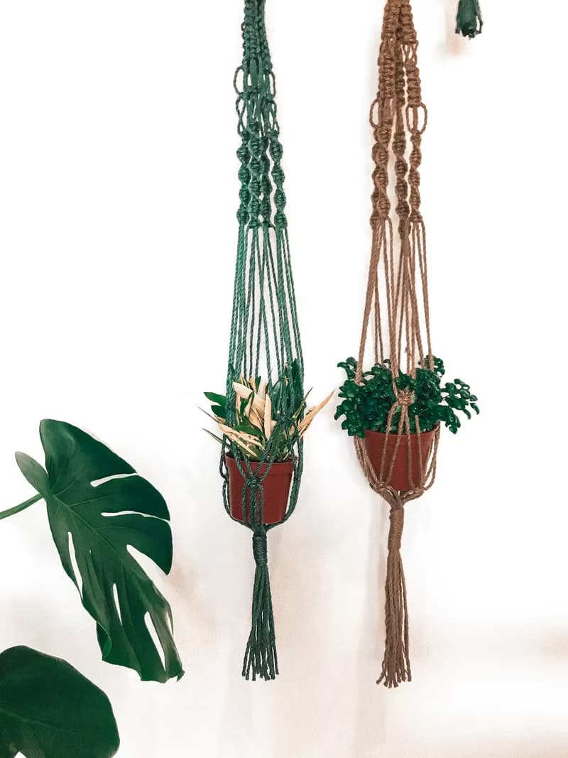 麻繩編織盆栽植物吊籃/綠葉植物/蕨類/空氣鳳梨