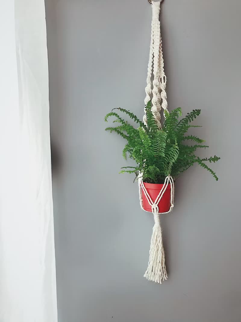 麻繩編織盆栽植物吊籃/綠葉植物/蕨類/空氣鳳梨
