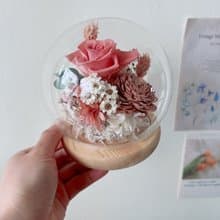 玻璃球 盅罩  永生不凋花 乾燥花