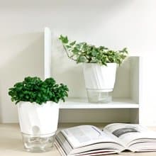 【入職禮】簡約吸水盆栽 居家裝飾 懶人盆栽 室內植物 免澆水