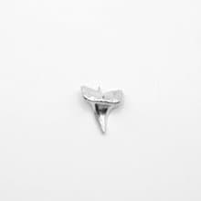 Shark Tooth 鯊魚牙 / 墜飾 ( 925 純銀 )