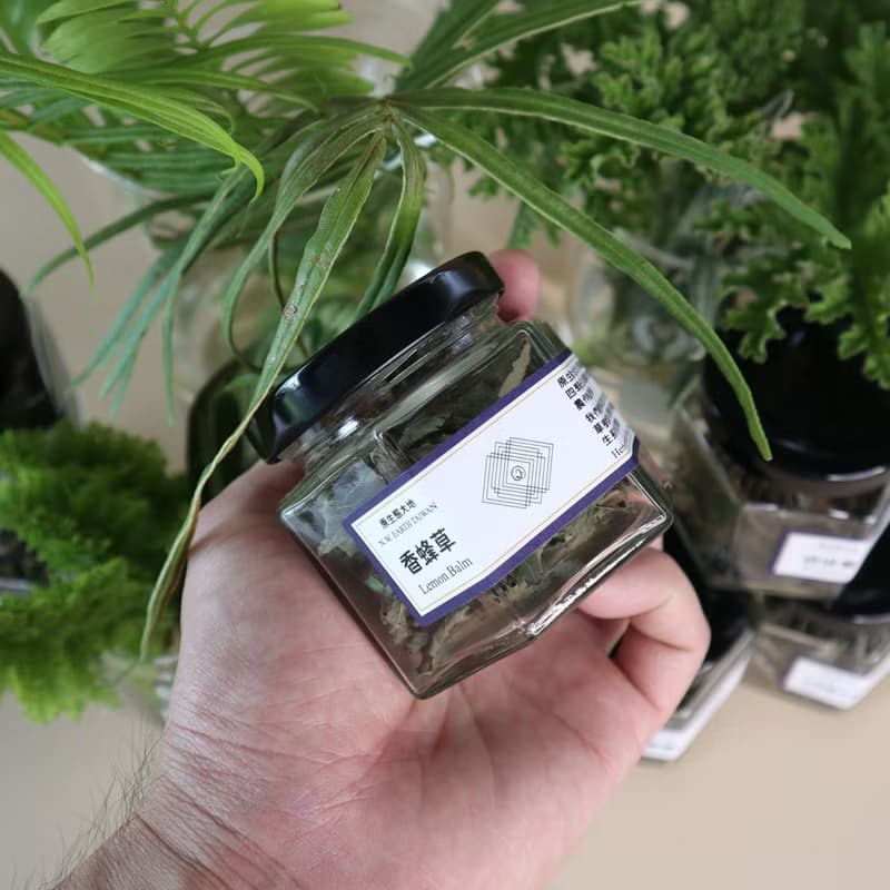 原生態大地香草茶/9款/台灣手工茶