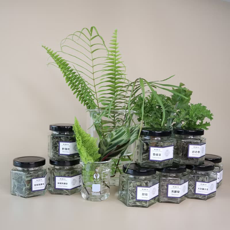 原生態大地香草茶/9款/台灣手工茶