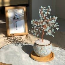 海藍寶水晶樹 寧靜之石 提亞瑪特 Tiamat 【能量水晶守護者】