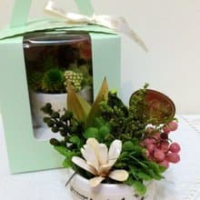 l 迷你療癒植栽-木片花花 l*療癒*不凋花.永生花*禮物*綠色*