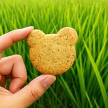 無憂點心盒