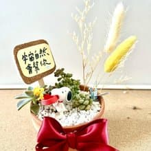 台中 多肉組盆 多肉植物 日式枯山水 微景觀 史奴比 SNOOPY 勵志