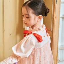 Girl ribbon tulle dress