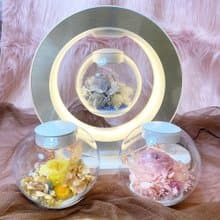 【空中花園】永生花懸浮檯燈 - 含藍芽音響+手機無線充電功能