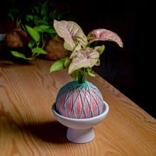 苔球植物 粉紅佳人合果芋粉紅苔球加磨砂高腳缽 苔球 苔玉