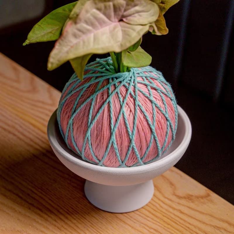 苔球植物 粉紅佳人合果芋粉紅苔球加磨砂高腳缽 苔球 苔玉