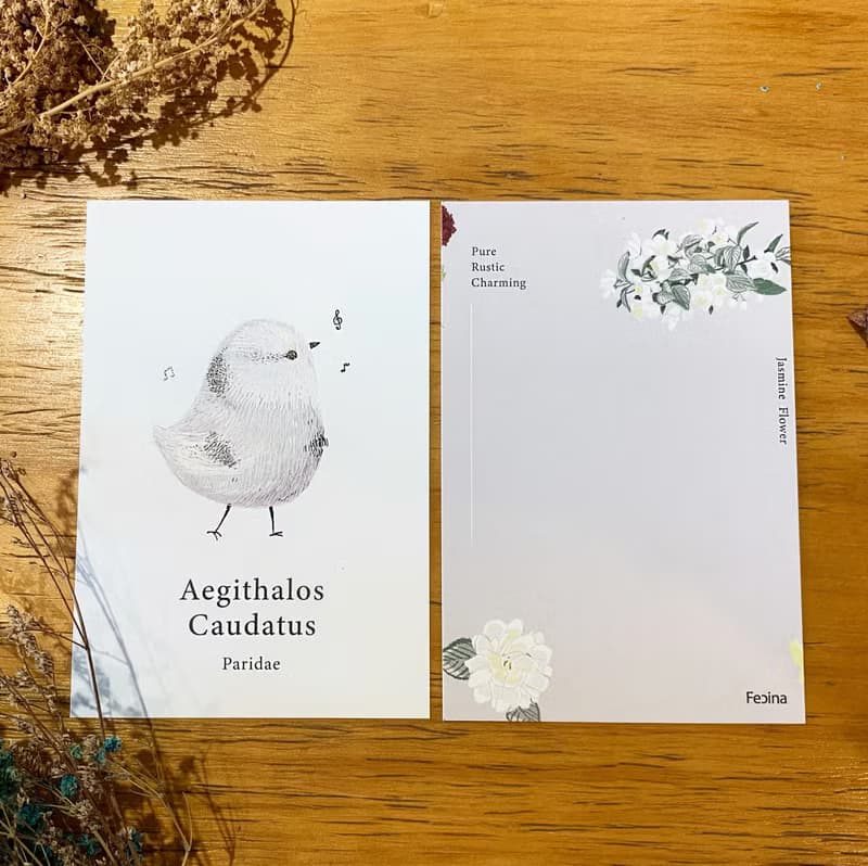 【鳥語花香-手繪鳥類療癒明信片】厚磅5張入